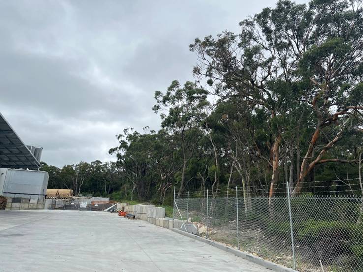 A road with trees and a fence

AI-generated content may be incorrect.